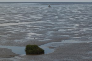 water and sand do go together sometimes